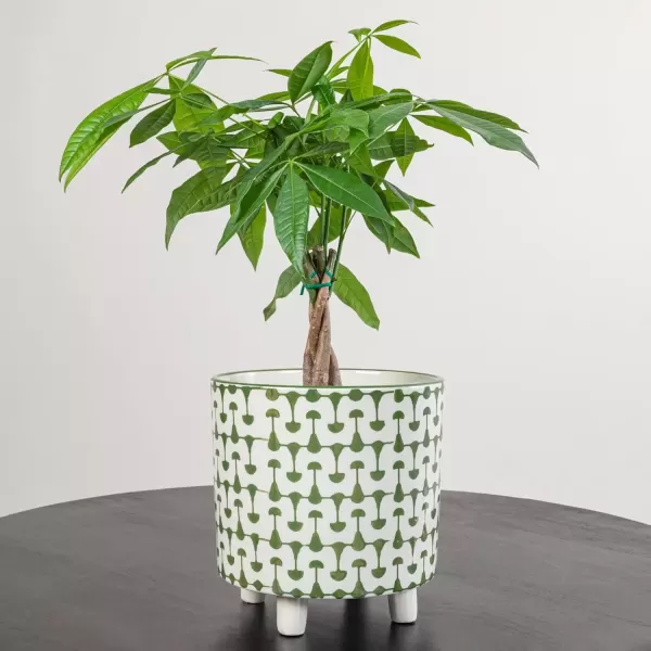 imageCreative CoOp Black ampamp White Round Stoneware Footed PlanterGreen