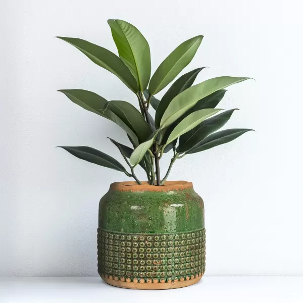 imageCreative CoOp Round TerraCotta Hobnail Planter Vase with Heavily Distressed Finish GreenGreen
