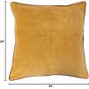 imageCreative CoOp Cotton Velvet Pillow with Rust Color Piping