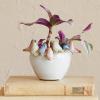 imageCreative CoOp Stoneware Planter with Birds on Rim Reactive GlazeHolds 4 Pot