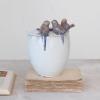 imageCreative CoOp Stoneware Planter with Birds on Rim Reactive GlazeHolds 5 Pot