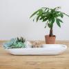 imageCreative CoOp Decorative Paulownia Wood Tray WhiteWhite