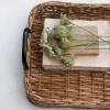 imageCreative CoOp Decorative Woven Rattan Metal Handles Natural and Black Tray