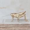 imageCreative CoOp Gilded Garden Grasshopper Decor GoldGrasshopper