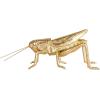 imageCreative CoOp Gilded Garden Grasshopper Decor GoldGrasshopper
