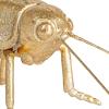 imageCreative CoOp Gilded Garden Grasshopper Decor GoldGrasshopper