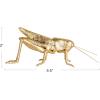 imageCreative CoOp Gilded Garden Grasshopper Decor GoldGrasshopper