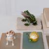 imageCreative CoOp Jeweled Frog Trinket Box GreenFrog