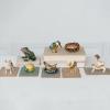 imageCreative CoOp Jeweled Frog Trinket Box GreenFrog