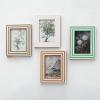 imageCreative CoOp Striped Resin and Wood Photo Frame Multicolor Set of 4