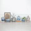 imageCreative CoOp Vintage Birds and Flowers Porcelain Ginger Jar Blue and White