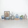 imageCreative CoOp Vintage Lotus Porcelain Ginger Jar Blue