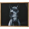imageCreative CoOp Black and White Equestrian Print with Wood Frame and Glass Cover 2400quot x 2800quot