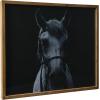 imageCreative CoOp Black and White Equestrian Print with Wood Frame and Glass Cover 2400quot x 2800quot