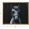 imageCreative CoOp Black and White Equestrian Print with Wood Frame and Glass Cover 2400quot x 2800quot