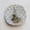 imageCreative CoOp Decorative Terracotta Wax Relief Dots Natural Platter White