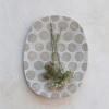 imageCreative CoOp Decorative Terracotta Wax Relief Dots Natural Platter White