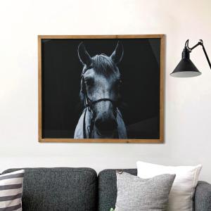 imageCreative CoOp Black and White Equestrian Print with Wood Frame and Glass Cover 2400quot x 2800quot