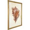 imageCreative CoOp Wood Framed Art with Red Shells ampamp Coral Set of 4 Designs Wall Decor