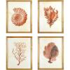 imageCreative CoOp Wood Framed Art with Red Shells ampamp Coral Set of 4 Designs Wall Decor