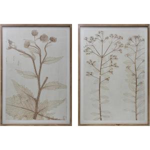 imageCreative CoOp Botanical Floral Print Wood Framed Glass Wall Decor Green and Cream Set of 2