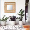 imageCreative CoOp 235quot Square Modern Wood and Rattan Wall Mirror