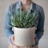 imageCreative CoOp Stoneware Cream Reactive Glaze Each One Will Vary Holds 7quot Planter Pot