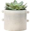 imageCreative CoOp Stoneware Cream Reactive Glaze Each One Will Vary Holds 7quot Planter Pot