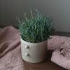 imageCreative CoOp Stoneware Cream Reactive Glaze Each One Will Vary Holds 7quot Planter Pot