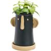 imageCreative CoOp Stoneware Face Planter with Saucer Set of 2 Matte Black and Cream 9quot9