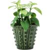 imageCreative CoOp Stoneware Hobnail Planter Green Holds 5quot Pot
