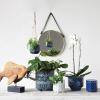 imageCreative CoOp Stoneware Planter with Floral Pattern Blue ampamp White Holds 4quot Pot