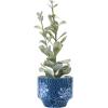 imageCreative CoOp Stoneware Planter with Floral Pattern Blue ampamp White Holds 4quot Pot