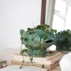 image17 Inches Debossed Stoneware Fish Planter Reactive Glaze Holds 7 Inches Pot Turquoise