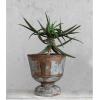 imageCreative CoOp 16 Inches Round Metal Footed Planter Holds 10 Inches Pot Distressed Zinc Finish