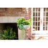 imageCreative CoOp 41quot Faux String of Pearl Pick Set of 12 Pieces Artificial Plants Green
