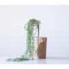 imageCreative CoOp 41quot Faux String of Pearl Pick Set of 12 Pieces Artificial Plants Green
