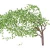 imageCreative CoOp 41quot Faux String of Pearl Pick Set of 12 Pieces Artificial Plants Green