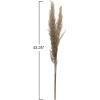imageCreative CoOp 4314quotH Natural Pampas Grass Bunch Dried Botanticals Muted Purple
