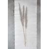 imageCreative CoOp 4314quotH Natural Pampas Grass Bunch Dried Botanticals Muted Purple