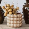 imageCreative CoOp 6 Inches Round Stoneware Raised Dots Holds 4 Inches Pot Tan Planter