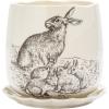 imageCreative CoOp 65 Inches Round Stoneware Planter with Rabbit Design and Scalloped Saucer Holds 5 Inches Pot White and Charcoal Set of 2