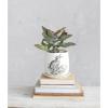 imageCreative CoOp 65 Inches Round Stoneware Planter with Rabbit Design and Scalloped Saucer Holds 5 Inches Pot White and Charcoal Set of 2