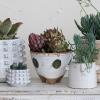 imageCreative CoOp Boho Stoneware Footed Painted Geometric Design Multicolor Planter White