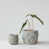 imageCreative CoOp Debossed Circles TerraCotta Planter Green