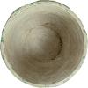 imageCreative CoOp Embossed Floral Cement Planter Distressed Green