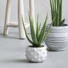 imageCreative CoOp Handmade Hobnail TerraCotta Planter WhiteHolds 5 Pot