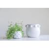 imageCreative CoOp Handmade Hobnail TerraCotta Planter WhiteHolds 5 Pot
