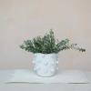 imageCreative CoOp Handmade Hobnail TerraCotta Planter WhiteHolds 7 Pot