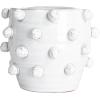 imageCreative CoOp Handmade Hobnail TerraCotta Planter WhiteHolds 7 Pot